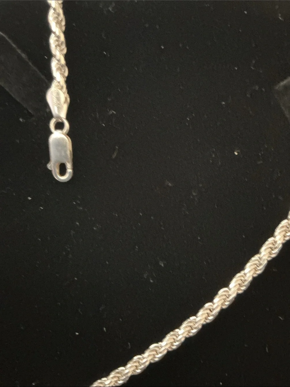 Sterling Silver Rope Chain Necklace - Silver